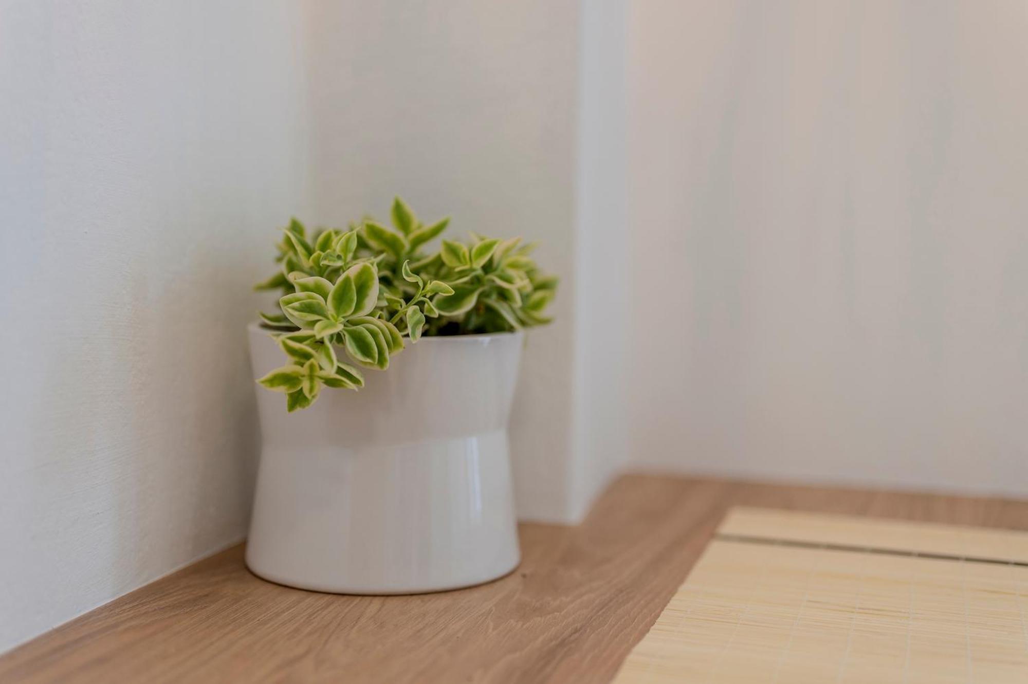 Stamatia Suites 艾斯普罗瓦塔 外观 照片